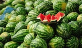 阜新吃瓜事件网红叫什么,网红引发的网络狂欢