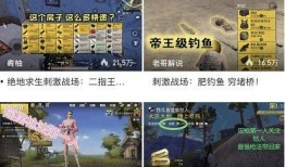 爆料西瓜大哥视频大全集,揭秘网络红人的魅力与影响力