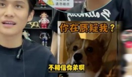 热点爆料杨哥视频播放,播放量飙升背后的秘密揭秘