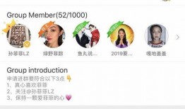 宁乡网红吃瓜群微信号,揭秘幕后故事，带你领略网络红人圈